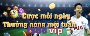 rs88 vip